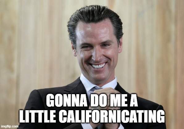 Scheming Gavin Newsom  | GONNA DO ME A LITTLE CALIFORNICATING | image tagged in scheming gavin newsom | made w/ Imgflip meme maker