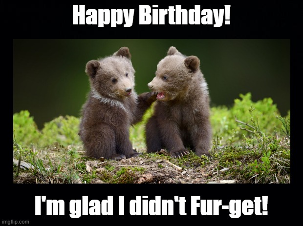 I didn't Fur-get! | Happy Birthday! I'm glad I didn't Fur-get! | image tagged in pun,bear,cute | made w/ Imgflip meme maker