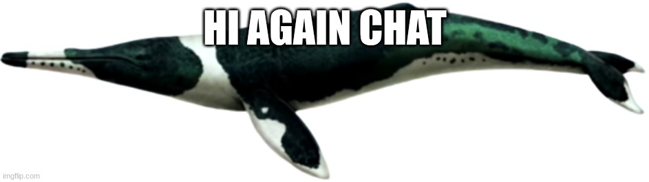 Tokaharia | HI AGAIN CHAT | image tagged in tokaharia | made w/ Imgflip meme maker