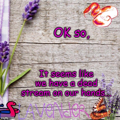 God why? | OK so, It seems like we have a dead stream on our hands... | image tagged in announcement template | made w/ Imgflip meme maker