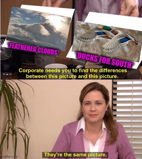 -Season done. | *FEATHERED CLOUDS*; *DUCKS FOR SOUTH* | image tagged in memes,they're the same picture,autumn leaves,rubber ducks,south park,illegal immigration | made w/ Imgflip meme maker