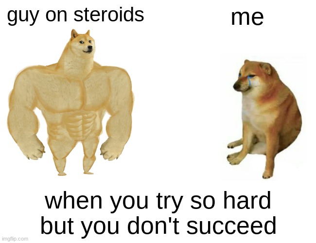 steroid memes | guy on steroids; me; when you try so hard but you don't succeed | image tagged in memes,buff doge vs cheems | made w/ Imgflip meme maker