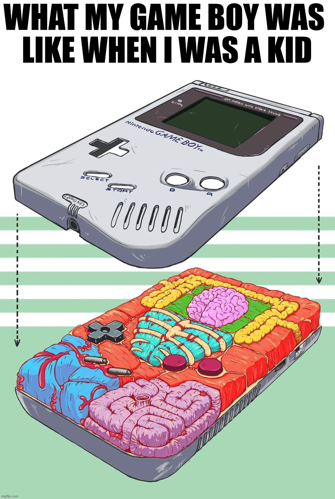 Mine was alive | WHAT MY GAME BOY WAS 
LIKE WHEN I WAS A KID | image tagged in gameboy,gaming | made w/ Imgflip meme maker