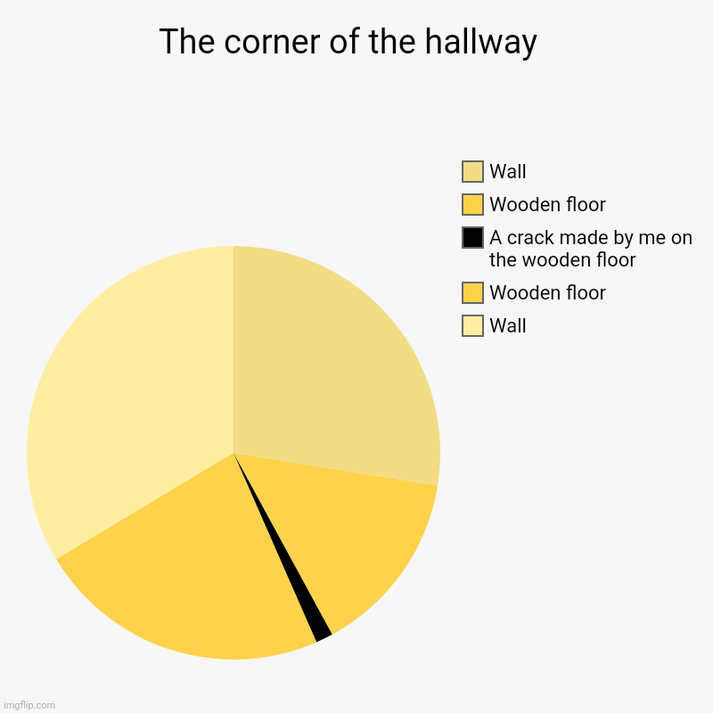 The corner of the hallway | The corner of the hallway  | Wall, Wooden floor, A crack made by me on the wooden floor , Wooden floor, Wall | image tagged in charts,pie charts,hallway,corner,memes,crack | made w/ Imgflip chart maker