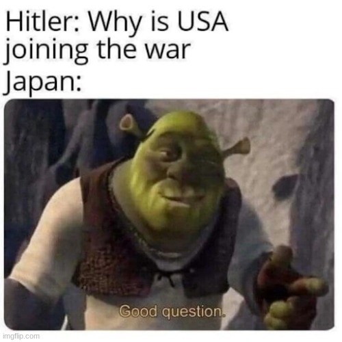 History if Fun! | image tagged in shrek,wwii | made w/ Imgflip meme maker
