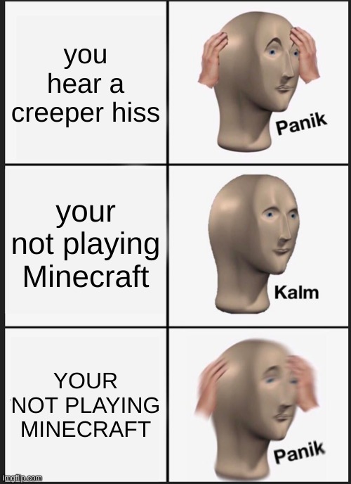 Minecraft | you hear a creeper hiss; your not playing Minecraft; YOUR NOT PLAYING MINECRAFT | image tagged in memes,panik kalm panik | made w/ Imgflip meme maker
