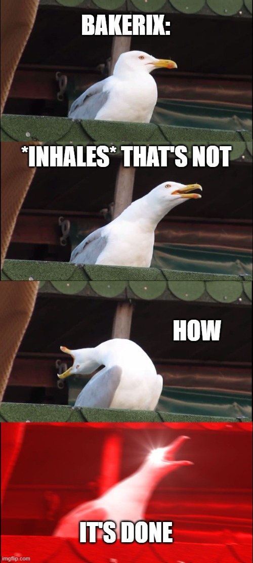 Inhaling Seagull | BAKERIX:; *INHALES* THAT'S NOT; HOW; IT'S DONE | image tagged in memes,inhaling seagull | made w/ Imgflip meme maker