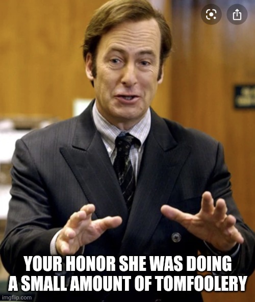 Your Honor, | YOUR HONOR SHE WAS DOING A SMALL AMOUNT OF TOMFOOLERY | image tagged in your honor | made w/ Imgflip meme maker