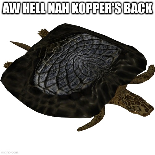Henodus | AW HELL NAH KOPPER'S BACK | image tagged in henodus | made w/ Imgflip meme maker