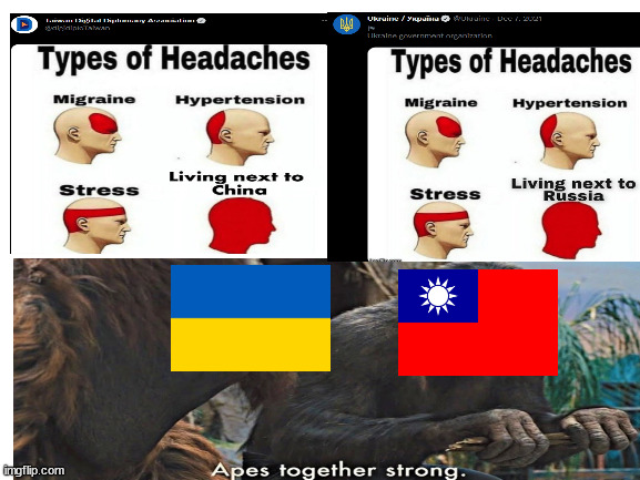 Dumb Meme #56 | image tagged in ukraine,taiwan,russia,china | made w/ Imgflip meme maker