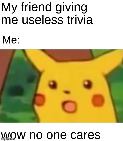 Surprised Pikachu | My friend giving me useless trivia; Me:; wow no one cares | image tagged in memes,surprised pikachu | made w/ Imgflip meme maker