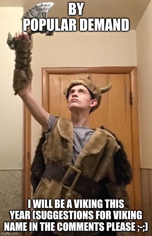 BY POPULAR DEMAND; I WILL BE A VIKING THIS YEAR (SUGGESTIONS FOR VIKING NAME IN THE COMMENTS PLEASE ;-;) | made w/ Imgflip meme maker