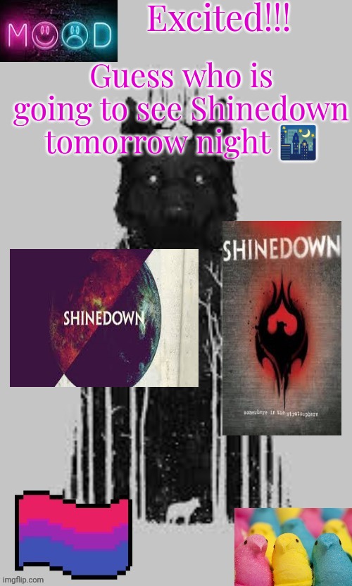 Yaya | Excited!!! Guess who is going to see Shinedown tomorrow night 🌃 | made w/ Imgflip meme maker