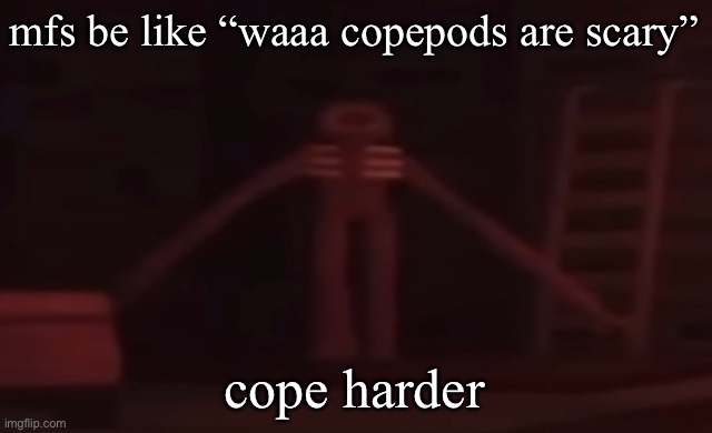 figure stare | mfs be like “waaa copepods are scary”; cope harder | image tagged in figure stare | made w/ Imgflip meme maker