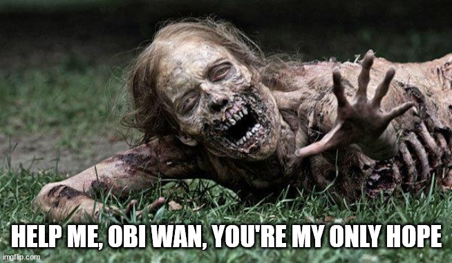 Walking Dead Zombie | HELP ME, OBI WAN, YOU'RE MY ONLY HOPE | image tagged in walking dead zombie | made w/ Imgflip meme maker