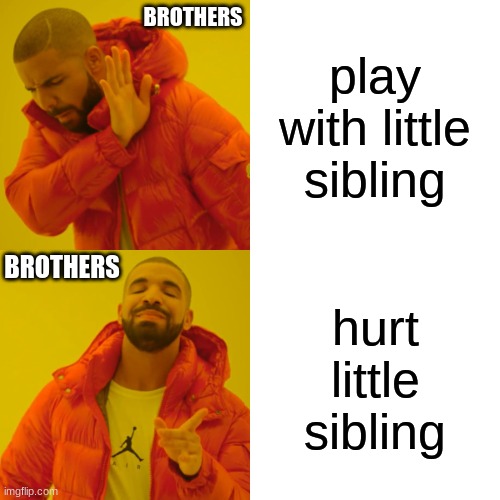 Drake Hotline Bling | BROTHERS; play with little sibling; BROTHERS; hurt little sibling | image tagged in memes,drake hotline bling | made w/ Imgflip meme maker