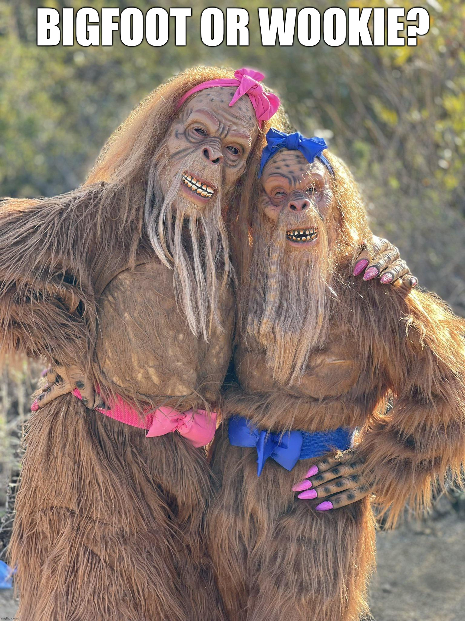 BIGFOOT OR WOOKIE? | image tagged in cursed image | made w/ Imgflip meme maker