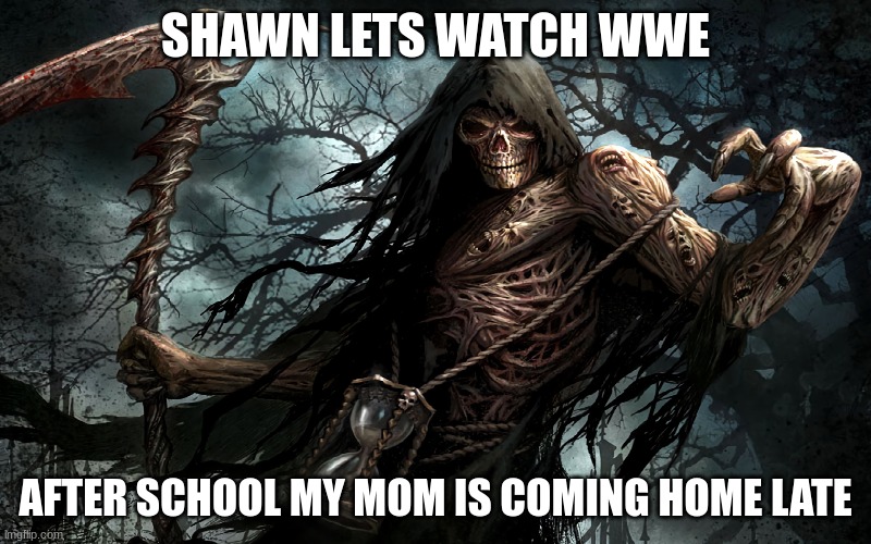 shawn | SHAWN LETS WATCH WWE; AFTER SCHOOL MY MOM IS COMING HOME LATE | image tagged in wwe | made w/ Imgflip meme maker