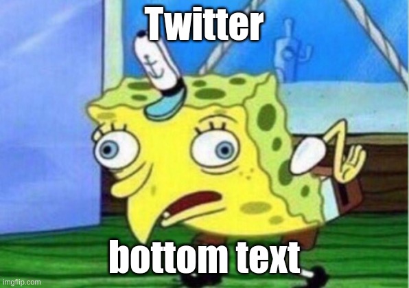Mocking Spongebob |  Twitter; bottom text | image tagged in memes,mocking spongebob | made w/ Imgflip meme maker
