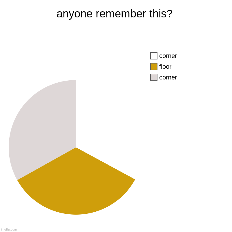 anyone remember this? | corner, floor, corner | image tagged in charts,pie charts | made w/ Imgflip chart maker