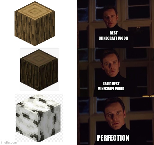 SCREW CANMAN BIRCH IS BEST | BEST MINECRAFT WOOD; I SAID BEST MINECRAFT WOOD; PERFECTION | image tagged in perfection | made w/ Imgflip meme maker