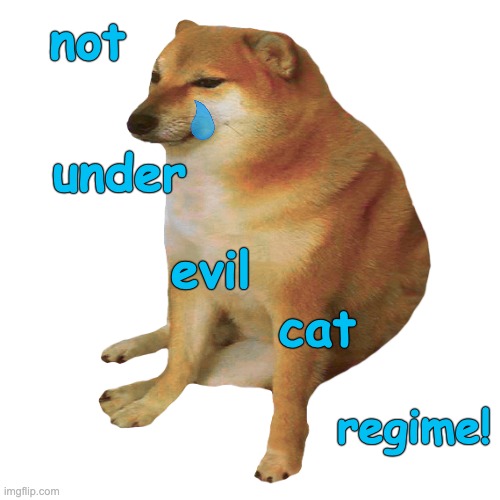 cheems | not under evil cat regime! | image tagged in cheems | made w/ Imgflip meme maker