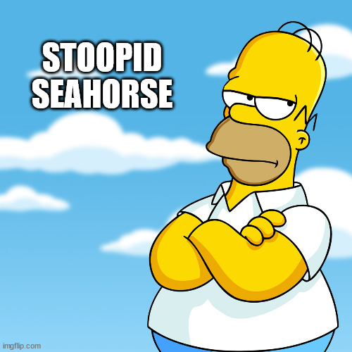 Homer Simpson Arms Crossed Annoyed | STOOPID SEAHORSE | image tagged in homer simpson arms crossed annoyed | made w/ Imgflip meme maker
