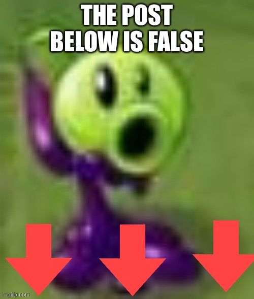 gloop | THE POST BELOW IS FALSE | image tagged in gloop | made w/ Imgflip meme maker