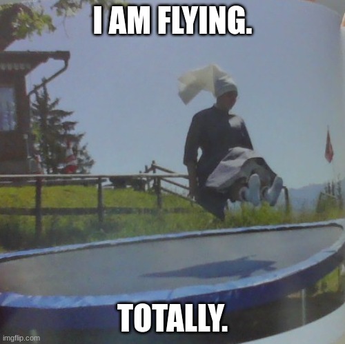 FLYINGGGGGG | I AM FLYING. TOTALLY. | image tagged in funny memes | made w/ Imgflip meme maker