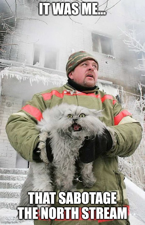 Evil Cat and Firefighter | IT WAS ME... THAT SABOTAGE THE NORTH STREAM | image tagged in evil cat and firefighter | made w/ Imgflip meme maker