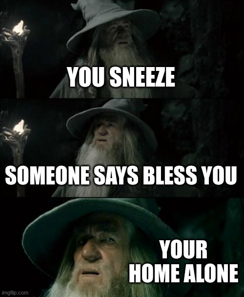 Confused Gandalf Meme | YOU SNEEZE; SOMEONE SAYS BLESS YOU; YOUR HOME ALONE | image tagged in memes,confused gandalf | made w/ Imgflip meme maker