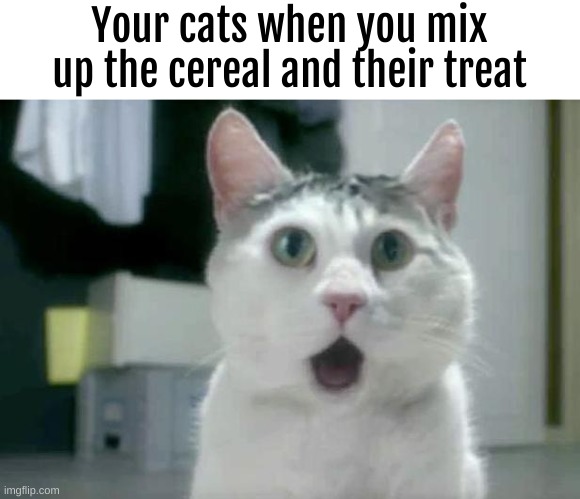 Disgusting | Your cats when you mix up the cereal and their treat | image tagged in memes,omg cat | made w/ Imgflip meme maker