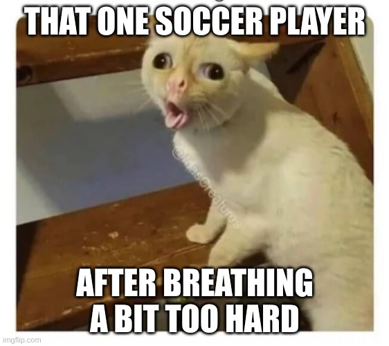 true | THAT ONE SOCCER PLAYER; AFTER BREATHING A BIT TOO HARD | image tagged in coughing cat | made w/ Imgflip meme maker