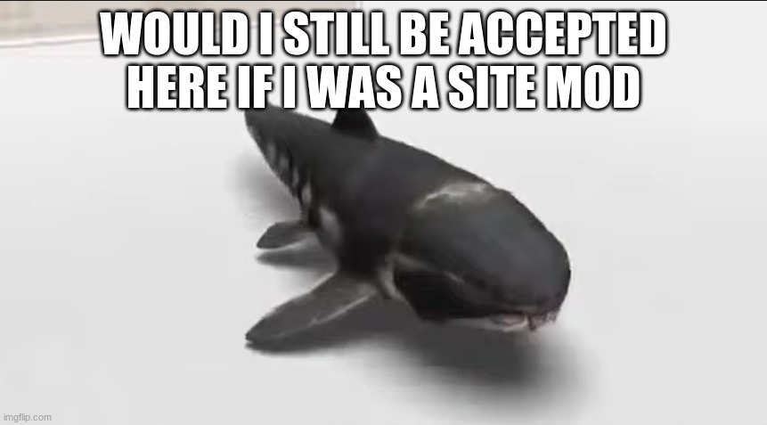 dunkleosteus in the damn wii menu | WOULD I STILL BE ACCEPTED HERE IF I WAS A SITE MOD | image tagged in dunkleosteus in the damn wii menu | made w/ Imgflip meme maker