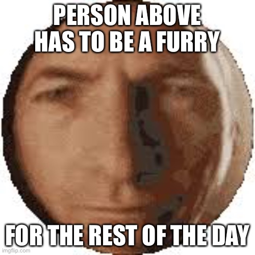 Ball goodman | PERSON ABOVE HAS TO BE A FURRY; FOR THE REST OF THE DAY | image tagged in ball goodman | made w/ Imgflip meme maker