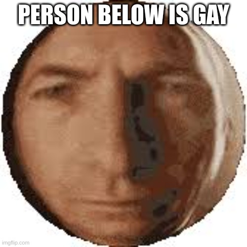 Ball goodman | PERSON BELOW IS GAY | image tagged in ball goodman | made w/ Imgflip meme maker