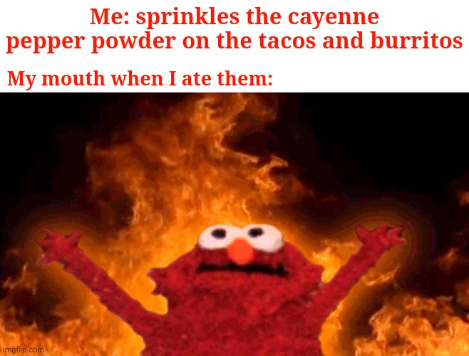 Cayenne pepper powder | Me: sprinkles the cayenne pepper powder on the tacos and burritos; My mouth when I ate them: | image tagged in elmo fire,tacos,burritos,memes,cayenne pepper,powder | made w/ Imgflip meme maker