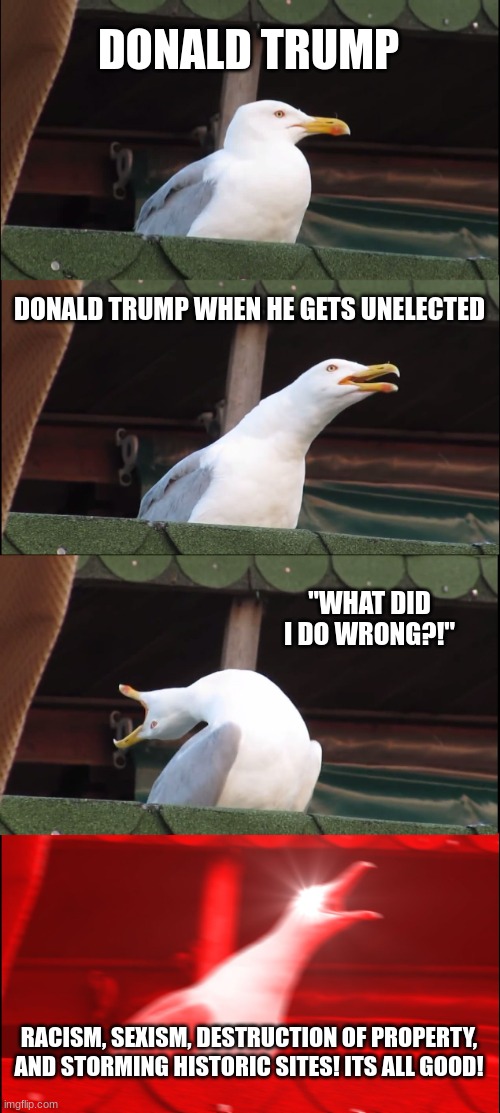 Donalds Electanment | DONALD TRUMP; DONALD TRUMP WHEN HE GETS UNELECTED; "WHAT DID I DO WRONG?!"; RACISM, SEXISM, DESTRUCTION OF PROPERTY, AND STORMING HISTORIC SITES! ITS ALL GOOD! | image tagged in memes,inhaling seagull | made w/ Imgflip meme maker