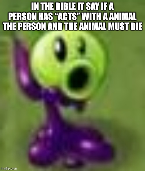 gloop | IN THE BIBLE IT SAY IF A PERSON HAS “ACTS” WITH A ANIMAL THE PERSON AND THE ANIMAL MUST DIE | image tagged in gloop | made w/ Imgflip meme maker