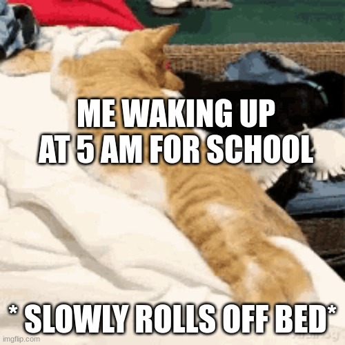 Mornings | ME WAKING UP AT 5 AM FOR SCHOOL; * SLOWLY ROLLS OFF BED* | image tagged in funny cats,monday mornings | made w/ Imgflip meme maker