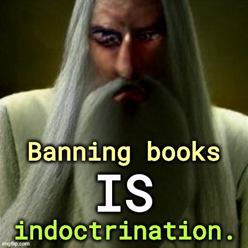 It's the indoctrination you know, as opposed to the indoctrination you don't know. | Banning books; IS; indoctrination. | image tagged in banned,books,white,panic,ingnorance | made w/ Imgflip meme maker