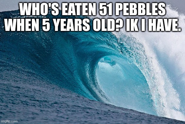 I FR HAVE | WHO'S EATEN 51 PEBBLES WHEN 5 YEARS OLD? IK I HAVE. | image tagged in zamn | made w/ Imgflip meme maker