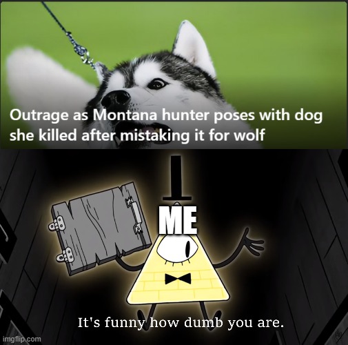 humanity these days | ME | image tagged in it's funny how dumb you are bill cipher | made w/ Imgflip meme maker