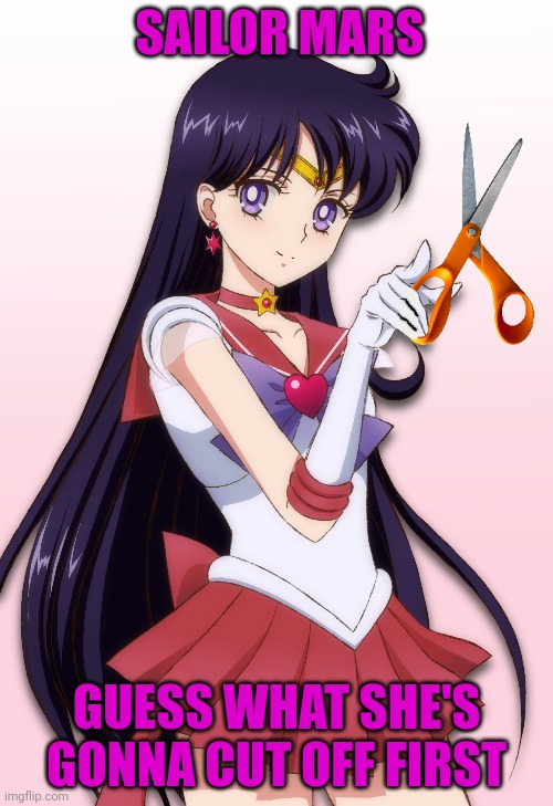 SAILOR MARS GUESS WHAT SHE'S GONNA CUT OFF FIRST | made w/ Imgflip meme maker