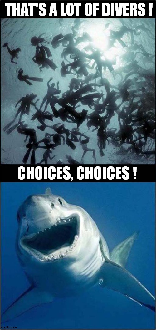 Shark Pick-N-Mix ! | THAT'S A LOT OF DIVERS ! CHOICES, CHOICES ! | image tagged in diving,scuba diving,sharks,shark attack,dark humour | made w/ Imgflip meme maker