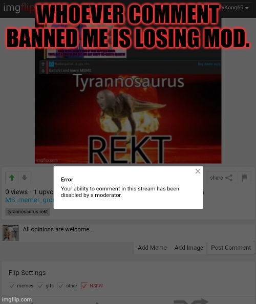 Did you think I wouldn't find out? | WHOEVER COMMENT BANNED ME IS LOSING MOD. | image tagged in im a stream,owner,im gonna find,the mod logs | made w/ Imgflip meme maker