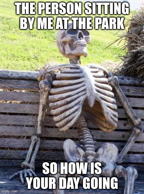 Waiting Skeleton | THE PERSON SITTING BY ME AT THE PARK; SO HOW IS YOUR DAY GOING | image tagged in memes,waiting skeleton | made w/ Imgflip meme maker