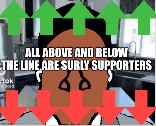 n | ALL ABOVE AND BELOW THE LINE ARE SURLY SUPPORTERS | image tagged in n | made w/ Imgflip meme maker