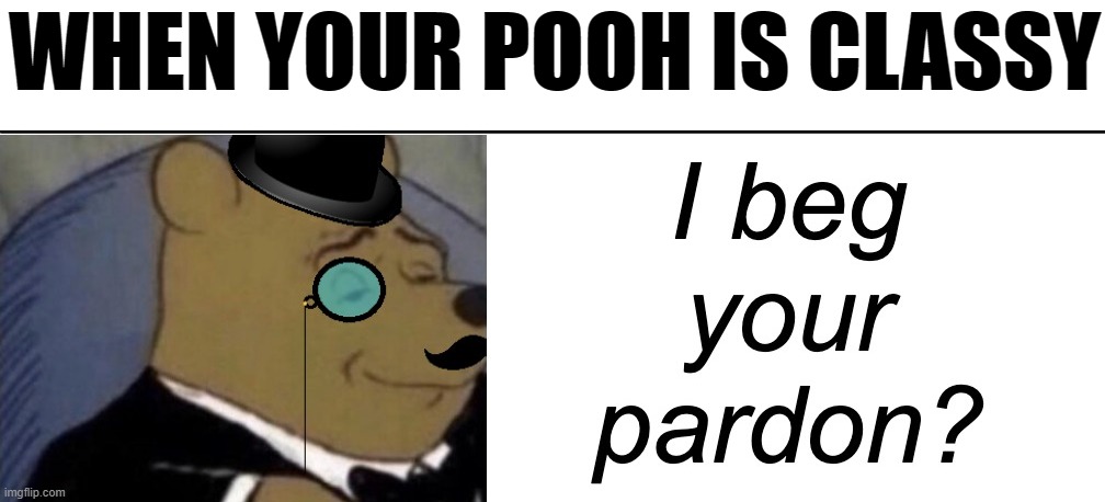Very classy pooh | WHEN YOUR POOH IS CLASSY | image tagged in very classy pooh | made w/ Imgflip meme maker