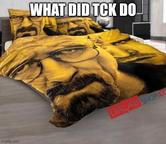 Breaking Bed | WHAT DID TCK DO | image tagged in breaking bed | made w/ Imgflip meme maker